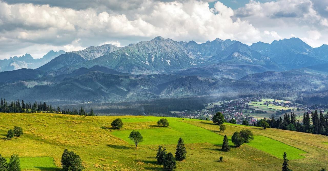 Apartament Perelka Przy Krupowkach Zakopane Exteriör bild